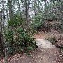 Caesars Head State Park - Wildcat Branch Falls