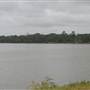 Kiawah River Plantation - Salt Pond