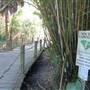 Boone Hall Plantation - Nature Walk (Sept. 2012)