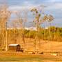 Flatrock Creek Farm