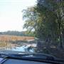 Halidon Hill - Rice Fields-Fields-swamps #07 Lane Field