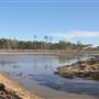 Halidon Hill - Rice Fields-Fields-swamps #11 41 Clear Cut
