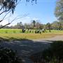 The Links At Stono Ferry - Driving Range & Putting Green