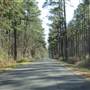 Bennett’s Point Road - Hwy. 17 to Airy Hall Plantation