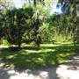 Magnolia Plantation & Gardens MAY LOOKS - Around the Horticultural Maze Area
