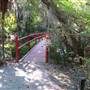 Magnolia Plantation & Gardens MAY - Red Bridge Pond & Surrounding Area