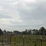 Hobcaw Barony - Fraser Point