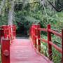 Magnolia Plantation & Gardens - River Walk