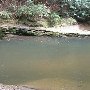 Twin Falls (aka Reedy Cove Falls)