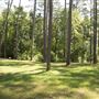Chester State Park