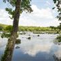 Landsford Canal State Park