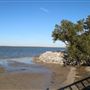 Hilton Head - Dolphin Head Beach