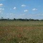 Darby Farms - Pastures