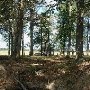 Darby Farms - Pastures