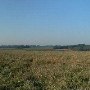 Darby Farms - Pastures