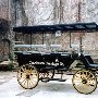 Charleston Carriage Co.