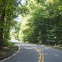 Landrum Mill Road
