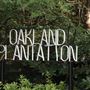 Oakland Plantation Lakes, Oak Avenue, & House (mid August 2019)
