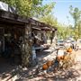 Pumpkintown Produce Stand