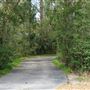 Palmetto Islands County Park TRAILS  - March 2020