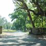Bears Bluff Road (2)