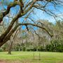 Terrebonne Wedding & Events