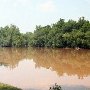 Landsford Canal State Park