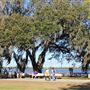Old Navy Base - Running paths