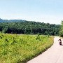 S.C. Road 90