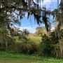 Brookgreen Gardens