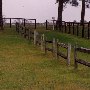 Springdale Horse Race Track (Steeplechase) - Stable E-3