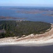 Botany Island