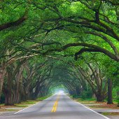Boundary Street/Fairfield Avenue