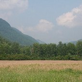 Walker Farm - field