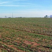 Long Farms #2 ("Behind Uncle Bill's")