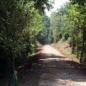 Swamp Rabbit Trail-Furman Campus