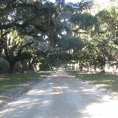 Boone Hall Plantation (December Looks)