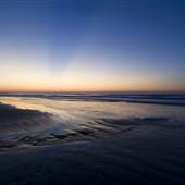 Isle of Palms - shoreline