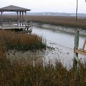 Courtney's Dock