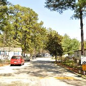 Alpine Regency Mobile Home Community