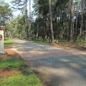 Daufuskie Island - Cedar Grove Area