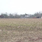 Joe Rast Property