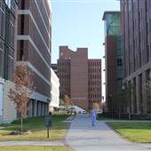 MUSC - Quad