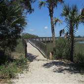 Palmetto Islands County Park - Fishing Dock on Back Creek
