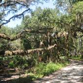 Botany Bay - Middle Dike Road