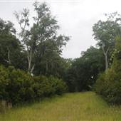 Stono River Stables - Hut Grove