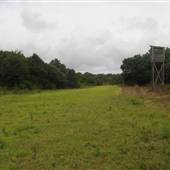 Kiawah River Plantation - Passion Point Tower