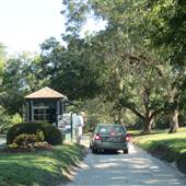 Boone Hall Plantation - Wildflower Fields