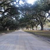 Boone Hall Plantation - Avenue of Oaks (Jan 2013)