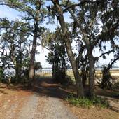 Bears Bluff National Fish Hatchery - Marsh Area 1